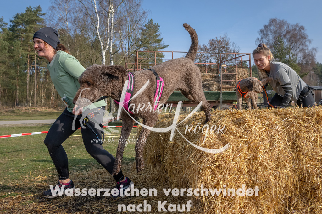 _ZZ93654 | kk-dogfotos