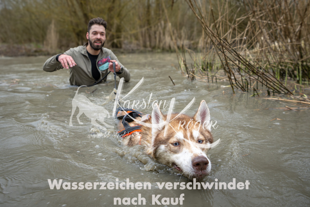 1403_ZZ95739 | kk-dogfotos