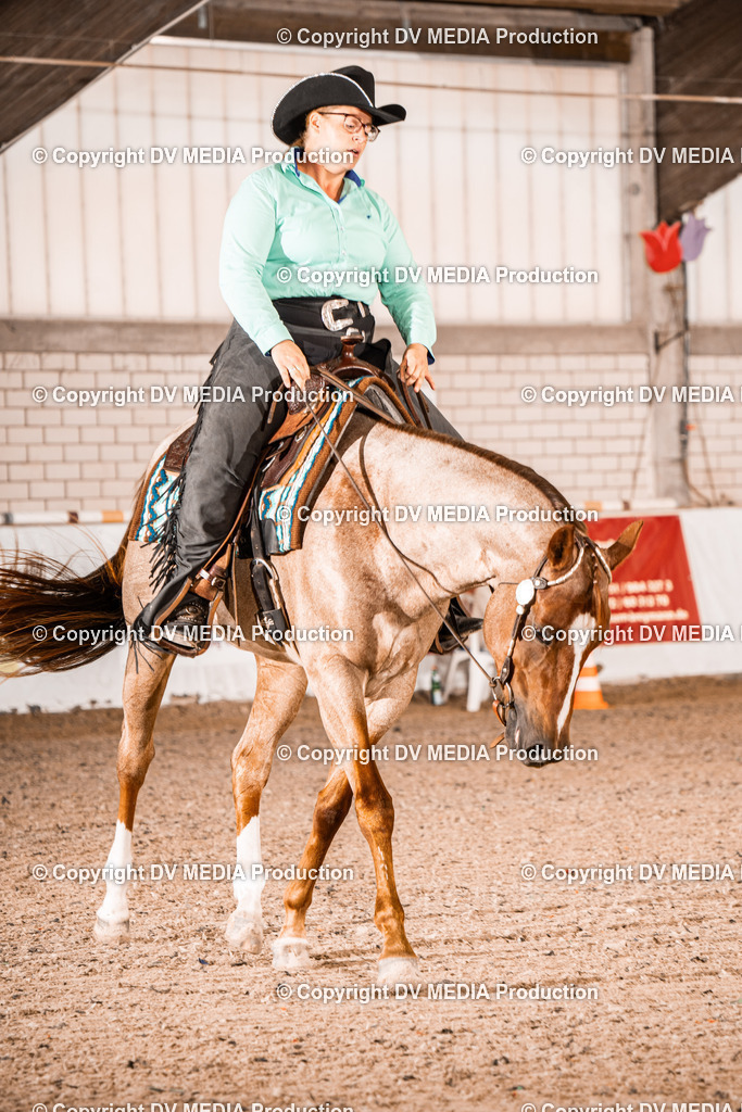 ZH100264 | dv-media-shop - Realisiert mit Pictrs.com