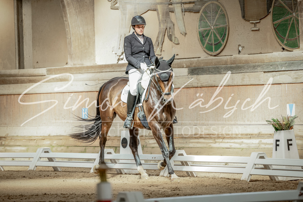 20250621-_3LI5931 | Tierfotografie Pferde, Hunde, Katzen, Haustiere.
Turnierfotografie Reitturniere, Reiten, Springreiten, Dressur in Hanau, dem Main-Kinzig-Kreis und dem Rhein-Main- Gebiet um Frankfurt