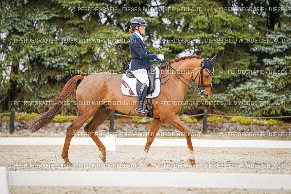 DSC08793 | Pferdegrafie