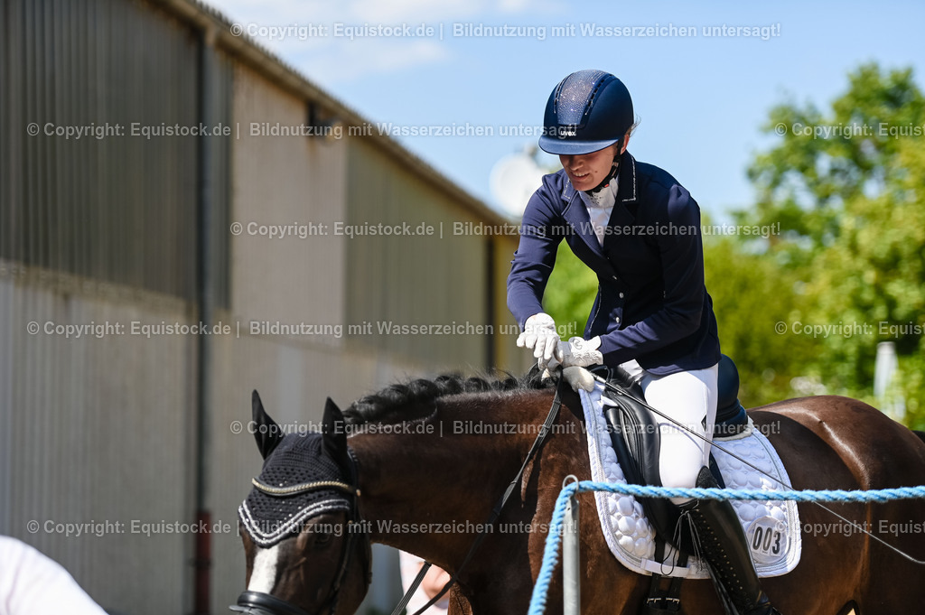 20230715_02_Dressurreiterprüfung Kl.L_0320 | equistock