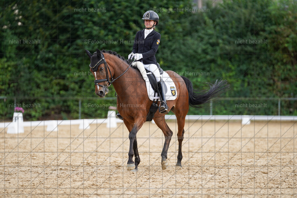 20240825-FAH00164 | Turnierbilder, Reitsportfotos, LAPO, Landesponyturnier, Turnierfotografen Bayern