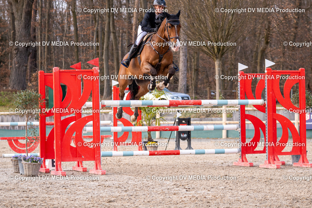 Kranichstein Tag 2-2409 | dv-media-shop - Realisiert mit Pictrs.com