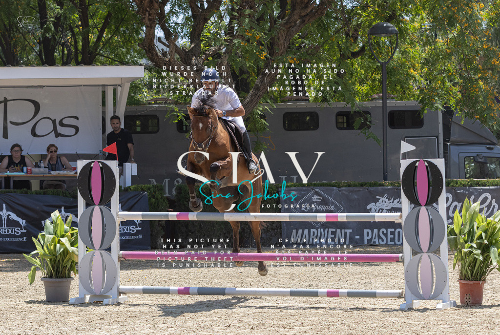 IMG_2245 | s-jay-photography - Realisiert mit Pictrs.com