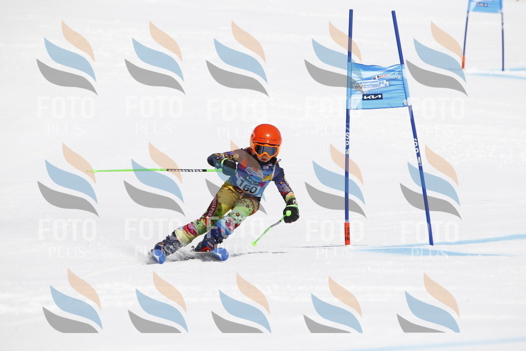 _U3G4319 | holidayphoto