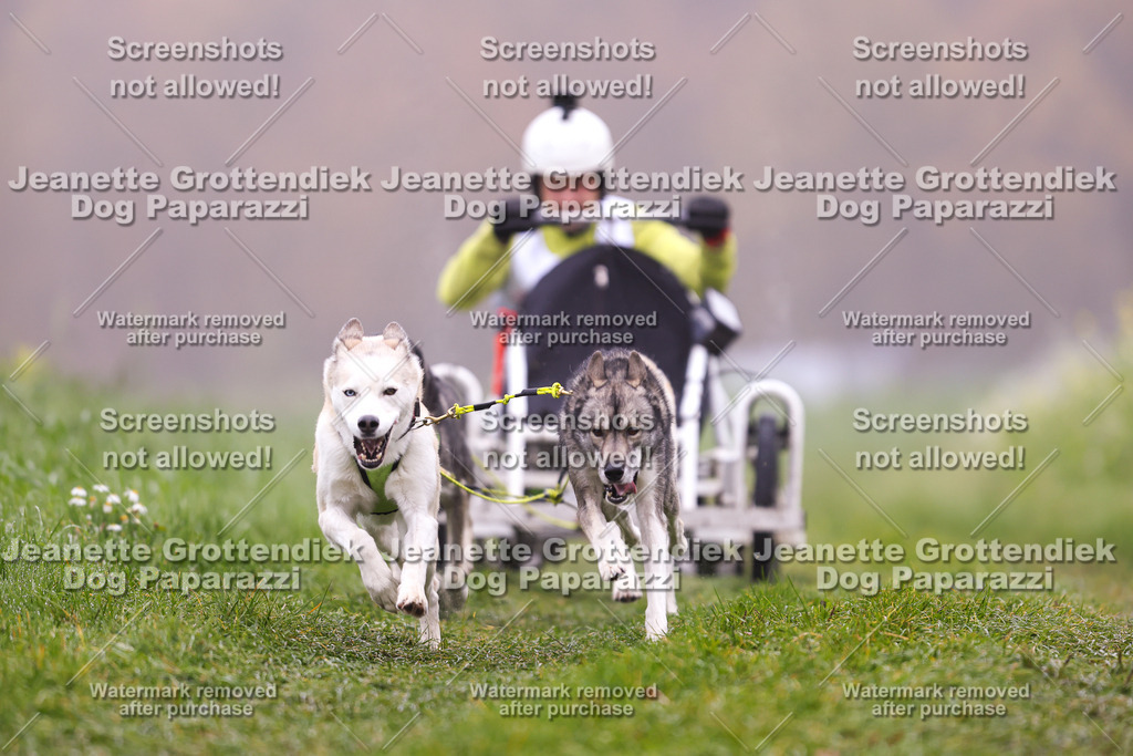 Dog Paparazzi - Visbeck 25 -21 | Dog Paparazzi Jeanette Grottendiek Fotografie & Videografie - Realisiert mit Pictrs.com