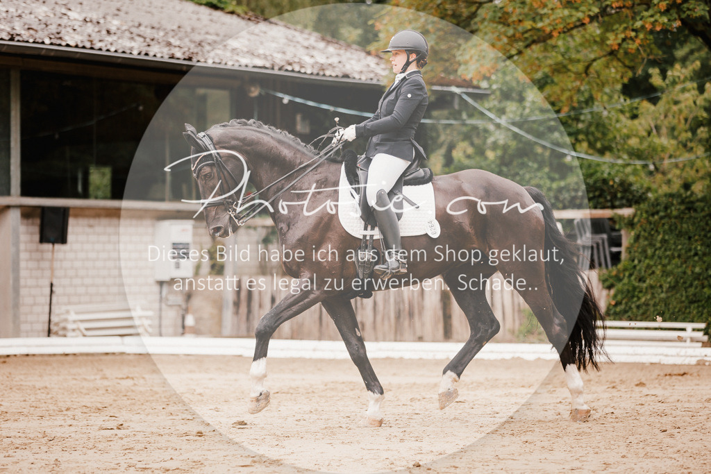 3I6A7712 | Stimmungsvolle Portraits und Reitsportfotografie im Ruhrgebiet und im Münsterland.

Pferdefotografie, Hundefotografie, Tierfotografie, Reportagen, Portraits von Tier und Mensch, Turnierfotografie in Bochum, Recklinghausen, Marl, Haltern am See, Dülmen.. - Realisiert mit Pictrs.com