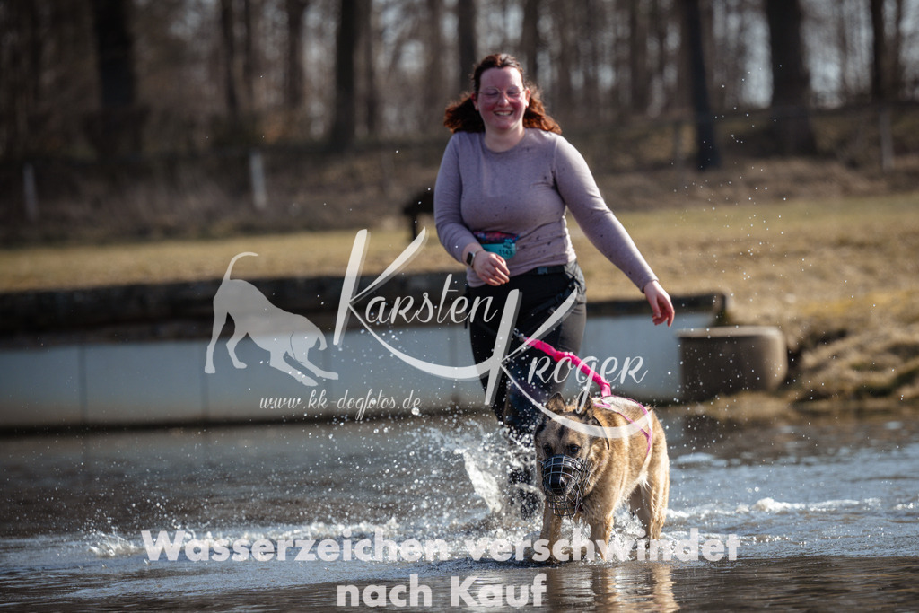 1155_ZZ97340 | kk-dogfotos
