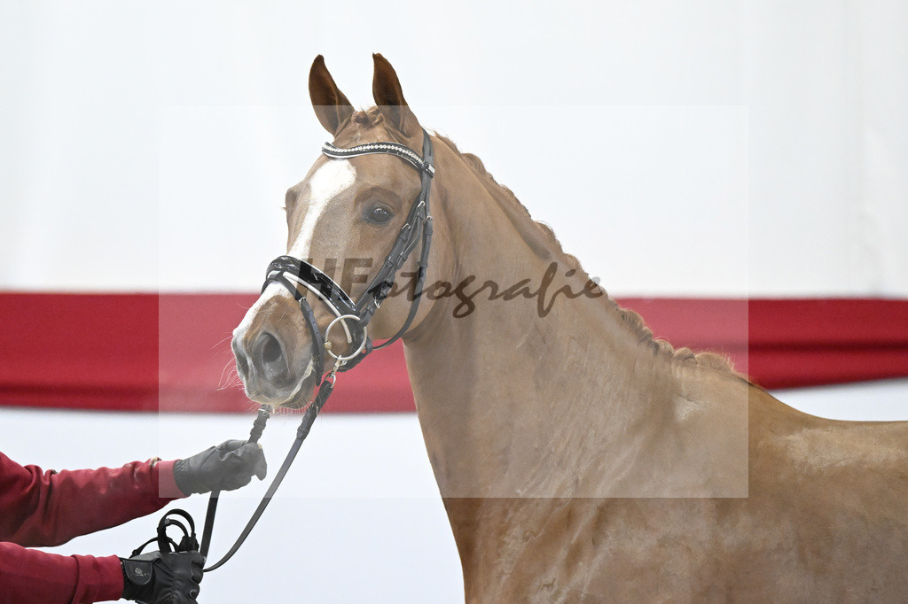 Kat-Nr. 48 v. Danone I_Mueller_63221231 | hf-fotografie - Realizzato con Pictrs.com