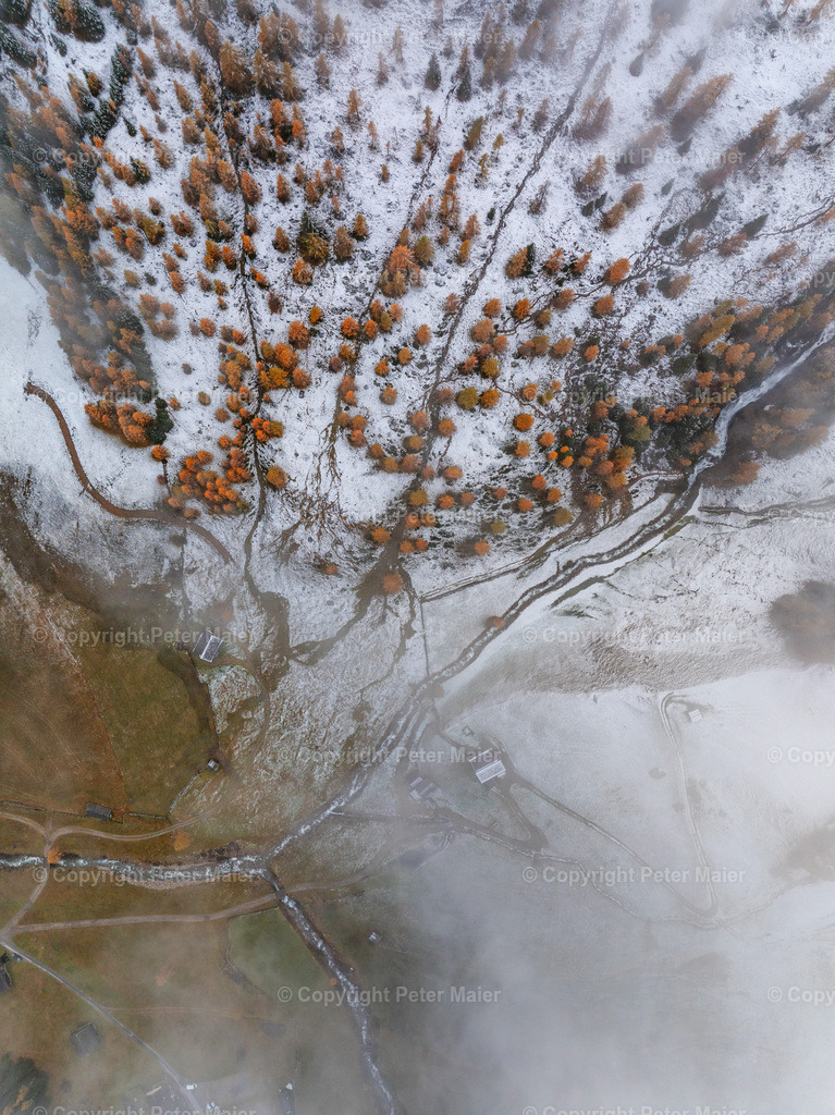 Kamelisenalm_Herbst_Schnee_2023-126 | default