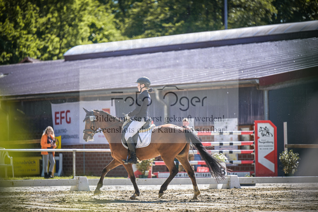 DOS_2518 | Entdecke hochwertige Reitturnierfotos von Foto Oger. Professionell, emotional und authentisch – jetzt Lieblingsmomente im Shop bestellen.Deutschlandweite Turnierfotografie. - Realisiert mit Pictrs.com