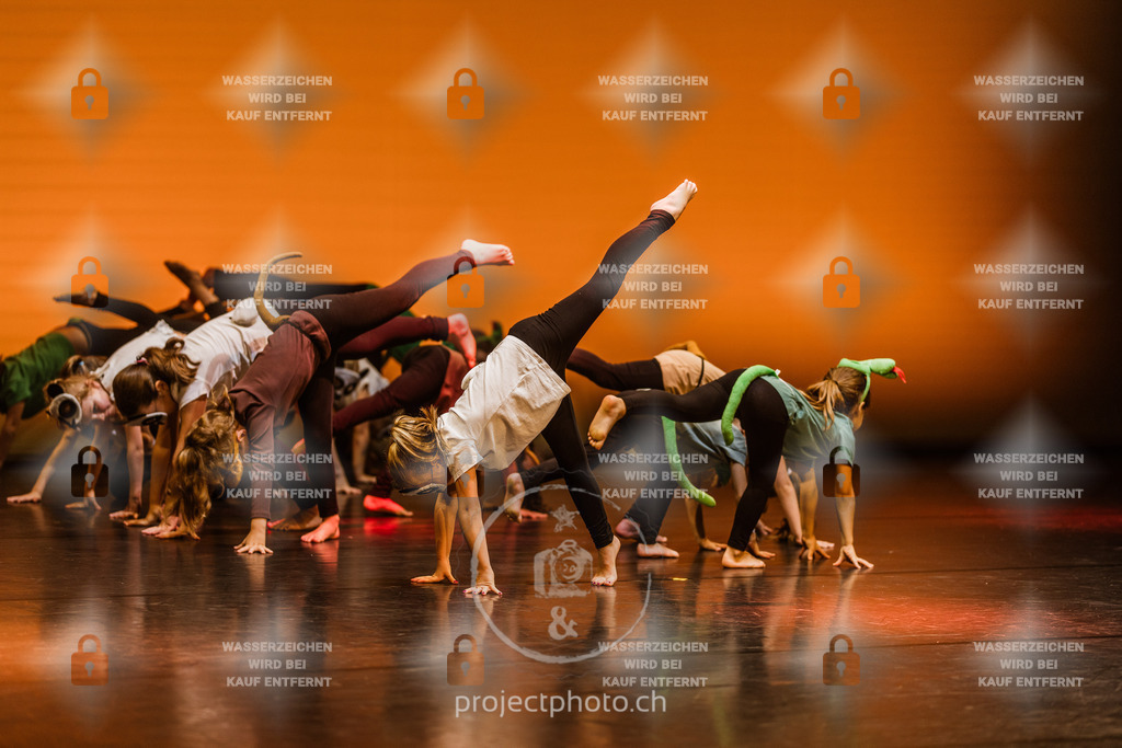 EXPORT_FULL-1-7 | projectphoto - Realisiert mit Pictrs.com