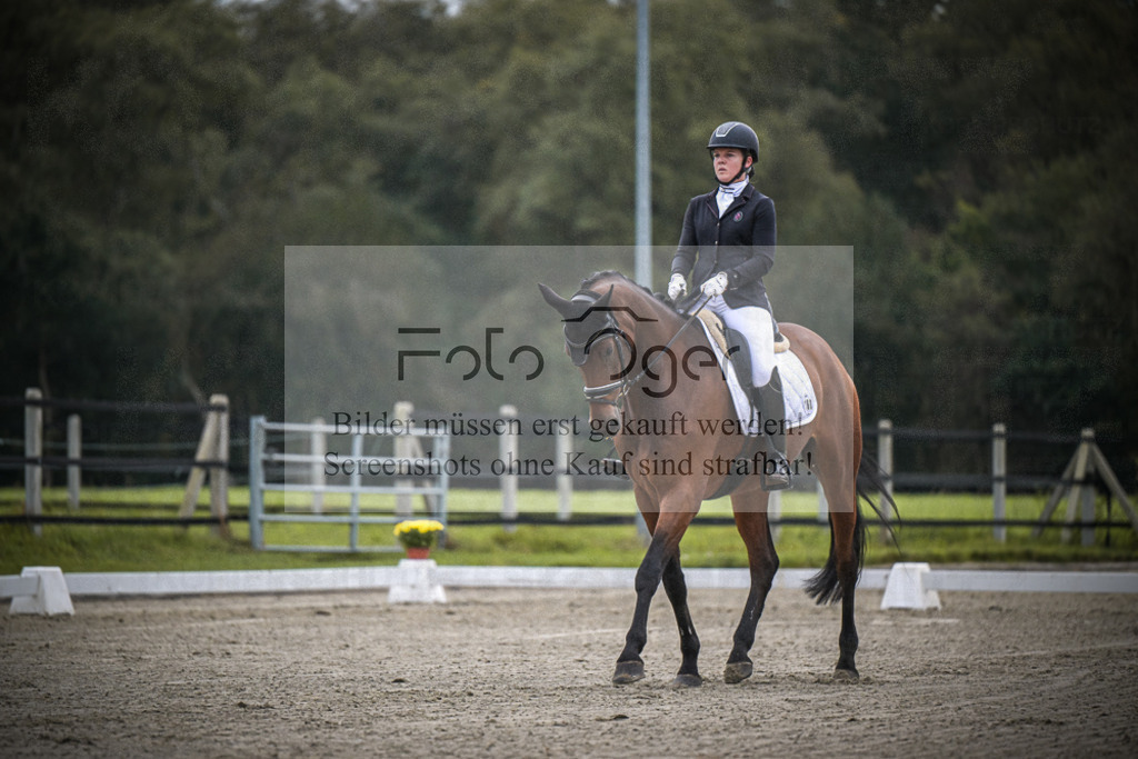 DOS_0543 | Entdecke hochwertige Reitturnierfotos von Foto Oger. Professionell, emotional und authentisch – jetzt Lieblingsmomente im Shop bestellen.Deutschlandweite Turnierfotografie. - Realisiert mit Pictrs.com