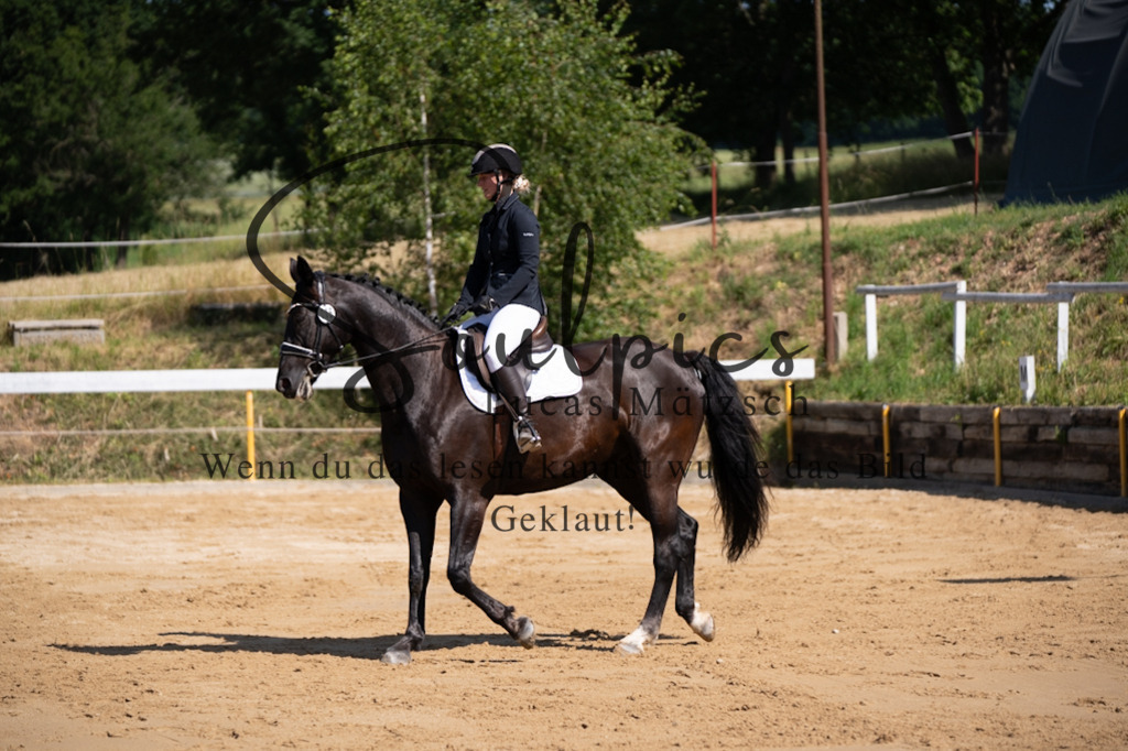 A7V07790 | Turnier/Reitfotograf