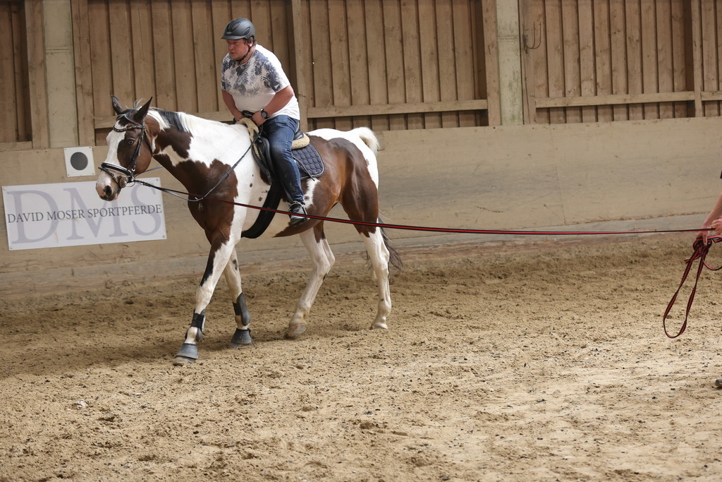0P6A9149 | Willkommen bei Brunnmayr - Design & Fotografie – Ihrem Spezialisten für Reitturniere und Pferdeveranstaltungen in Oberösterreich, Salzburg und Bayern! Seit über 17 Jahren sind wir leidenschaftlich dabei.