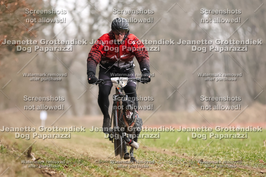 Dog Paparazzi - Plate 2026-41 | Dog Paparazzi Jeanette Grottendiek Fotografie & Videografie - Realisiert mit Pictrs.com