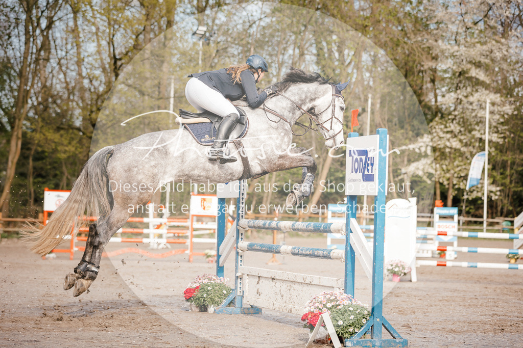 3I6A3440 | Stimmungsvolle Portraits und Reitsportfotografie im Ruhrgebiet und im Münsterland.

Pferdefotografie, Hundefotografie, Tierfotografie, Reportagen, Portraits von Tier und Mensch, Turnierfotografie in Bochum, Recklinghausen, Marl, Haltern am See, Dülmen.. - Realisiert mit Pictrs.com