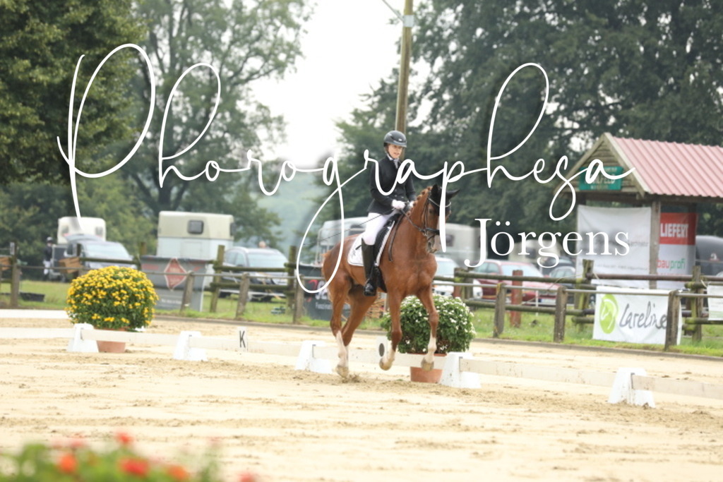 IMG_4932 | photographesa-joergens - Realisiert mit Pictrs.com