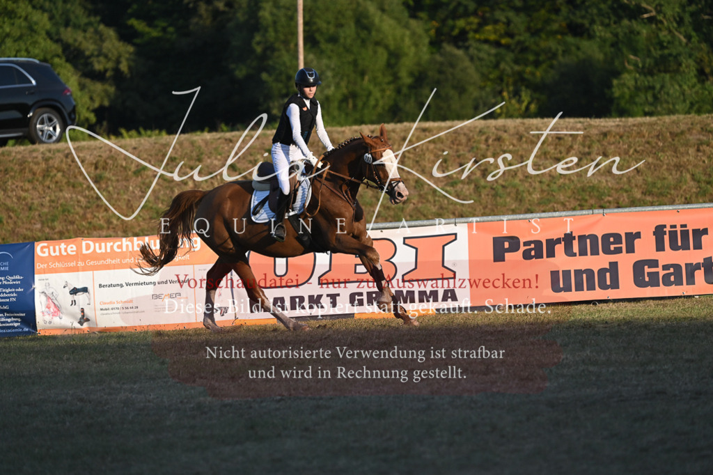 DSC_9292-2 | Pferde- und Turnierfotografie in Westsachsen. Pferdeportraits, Auftragszeichnungen und intuitive Kunst.