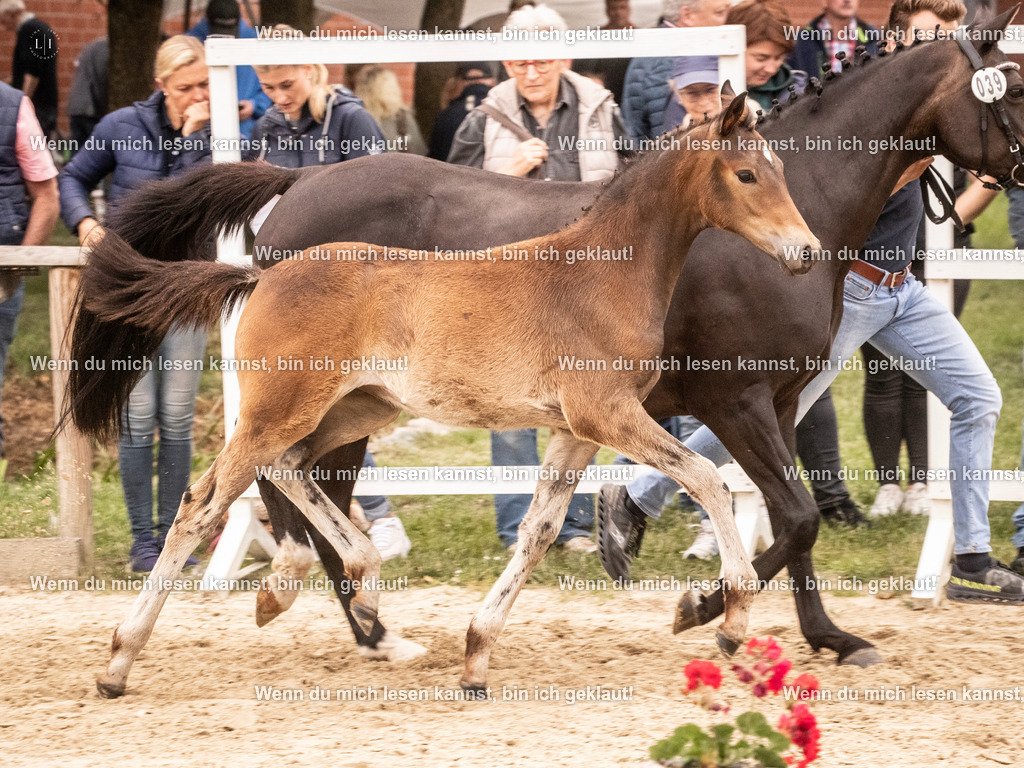 A10I2920 15.56.13 | photographylinaismer - Realisiert mit Pictrs.com