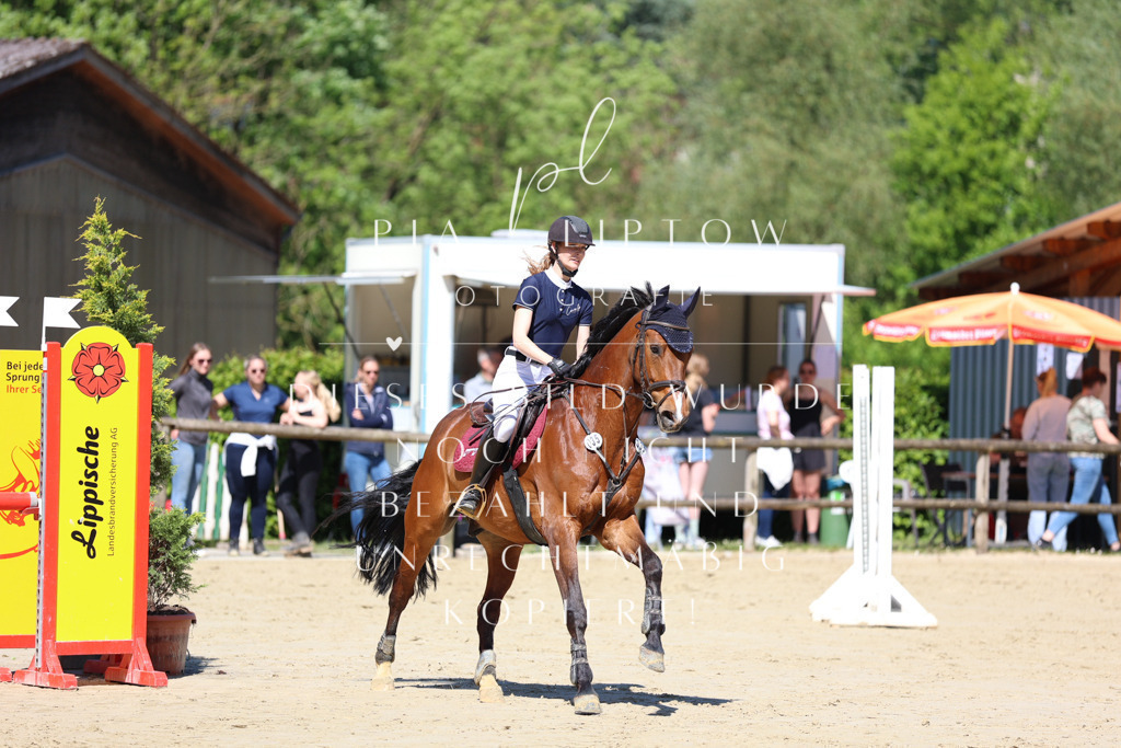 IMGS7486 | pl-fotografie