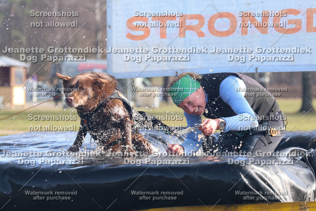 Dog Paparazzi - Strongdog North Mrz26-1012 | Dog Paparazzi Jeanette Grottendiek Fotografie & Videografie - Realisiert mit Pictrs.com
