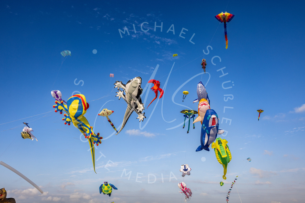 2025-08-09 SPO Drachenfest 119 | Schwotte Media - Realisiert mit Pictrs.com