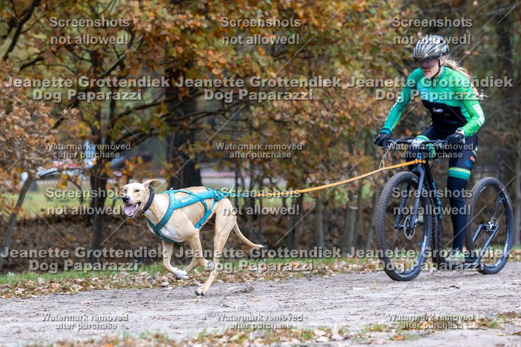 Dog Paparazzi - SD CaniX Championship 2025-565 | Dog Paparazzi Jeanette Grottendiek Fotografie & Videografie - Realisiert mit Pictrs.com
