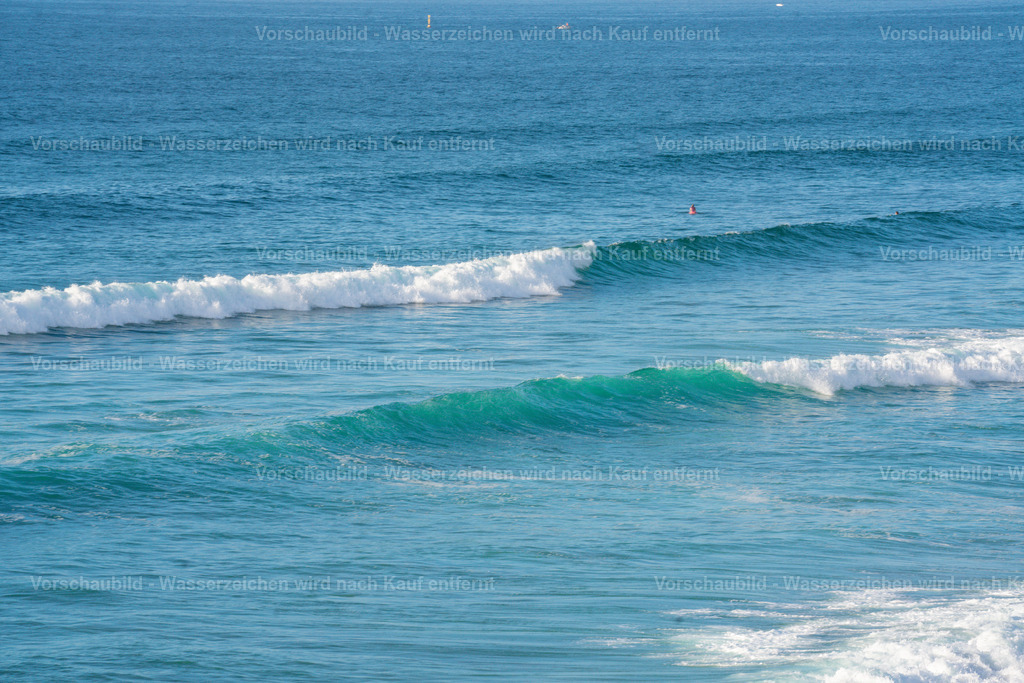 DSC02782-2 | marcuslinek