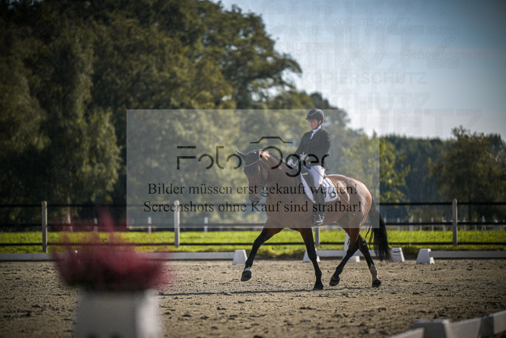 DOS_1377 | Entdecke hochwertige Reitturnierfotos von Foto Oger. Professionell, emotional und authentisch – jetzt Lieblingsmomente im Shop bestellen.Deutschlandweite Turnierfotografie. - Realisiert mit Pictrs.com