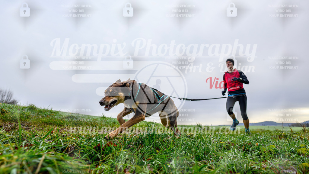 MompixPhotography_Staufertrail2024_SO_Canicross-6 | PayLife