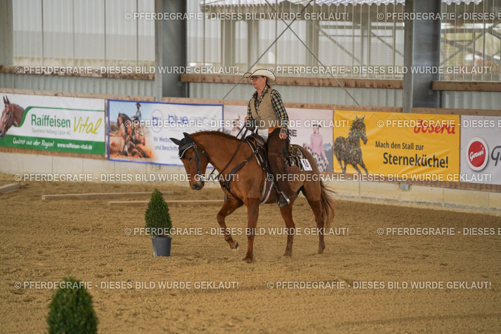 DSC03838 | Pferdegrafie