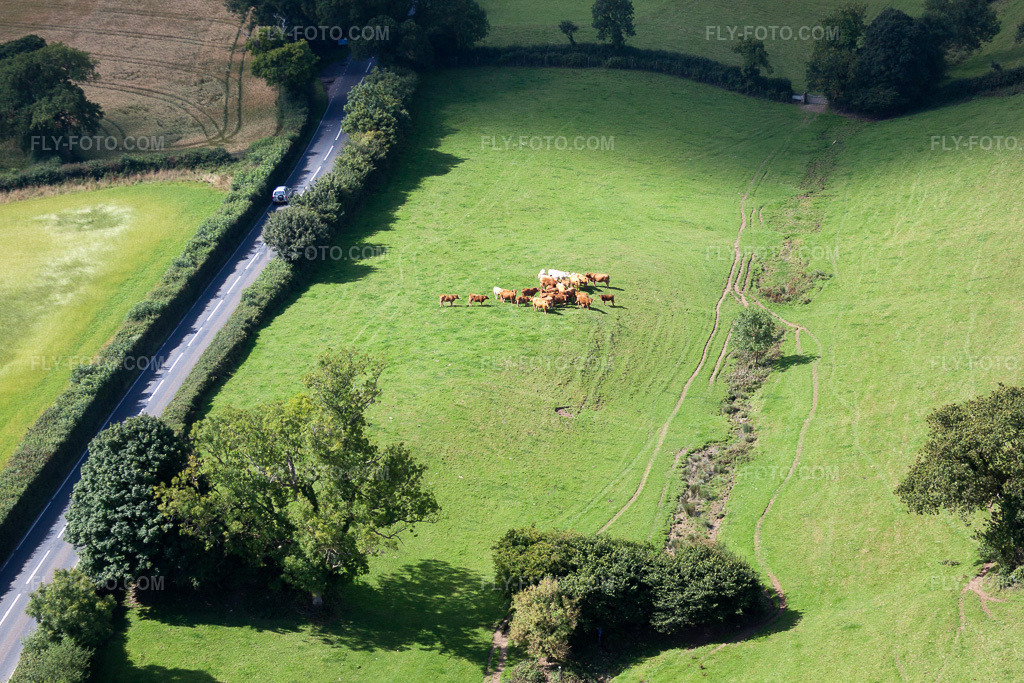 Aerial view: View of the town in Ipplepen in the state England, Great Britain. – Photo: IMG_19753.jpg taken on 07/25/2009 by Werner Riehm/FLY-FOTO.com – Resolution of the original: 4752 x 3168 px