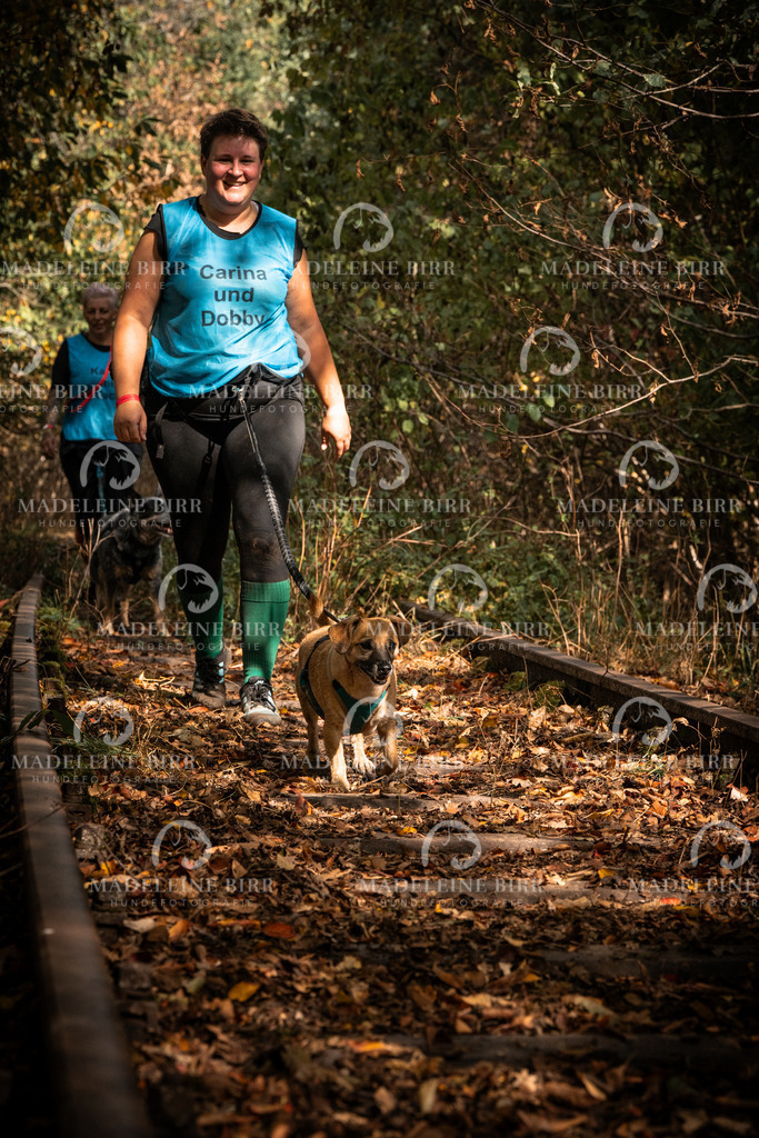 madeleinebirr.fotografie.2026.cc.hunsrueck.12-13Uhr.110 | hundefotografie-birr
