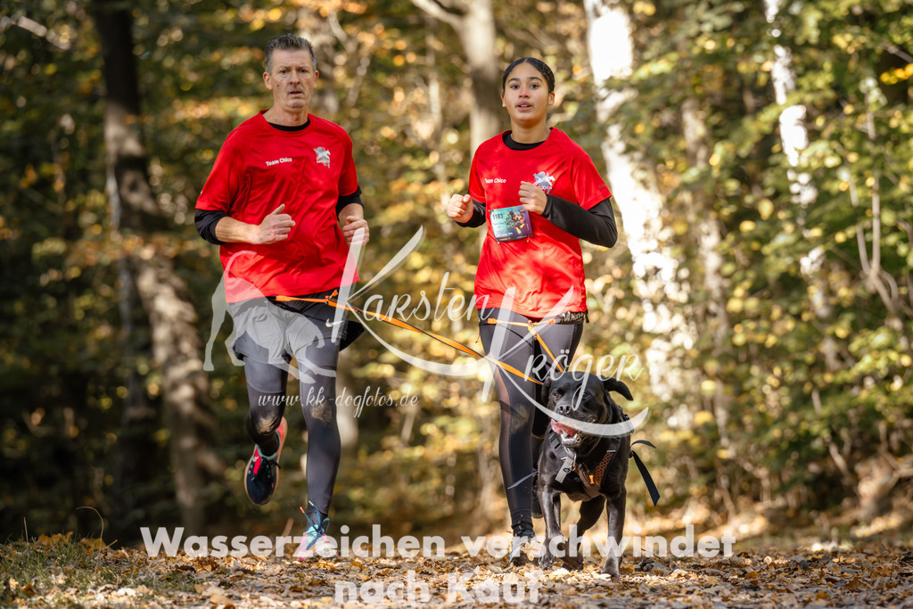 1228_ZZ95308 | kk-dogfotos