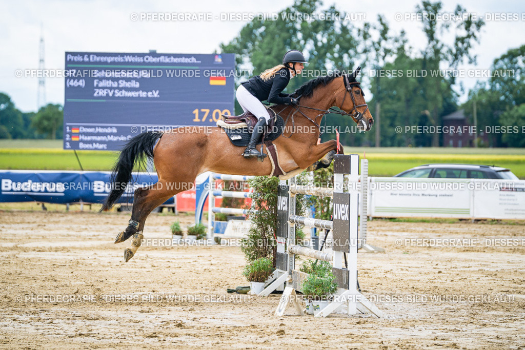 DSC04799 | Pferdegrafie