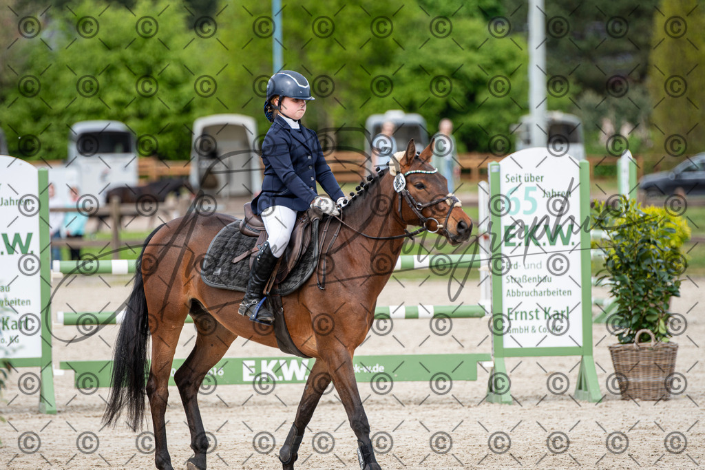 KPT_5983 | andre_photographic