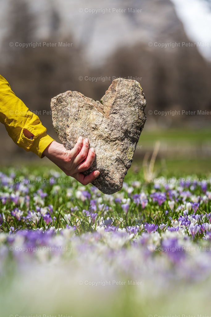 Frühling_Kals_Lucknerhaus_2020-262 | piet_flosse