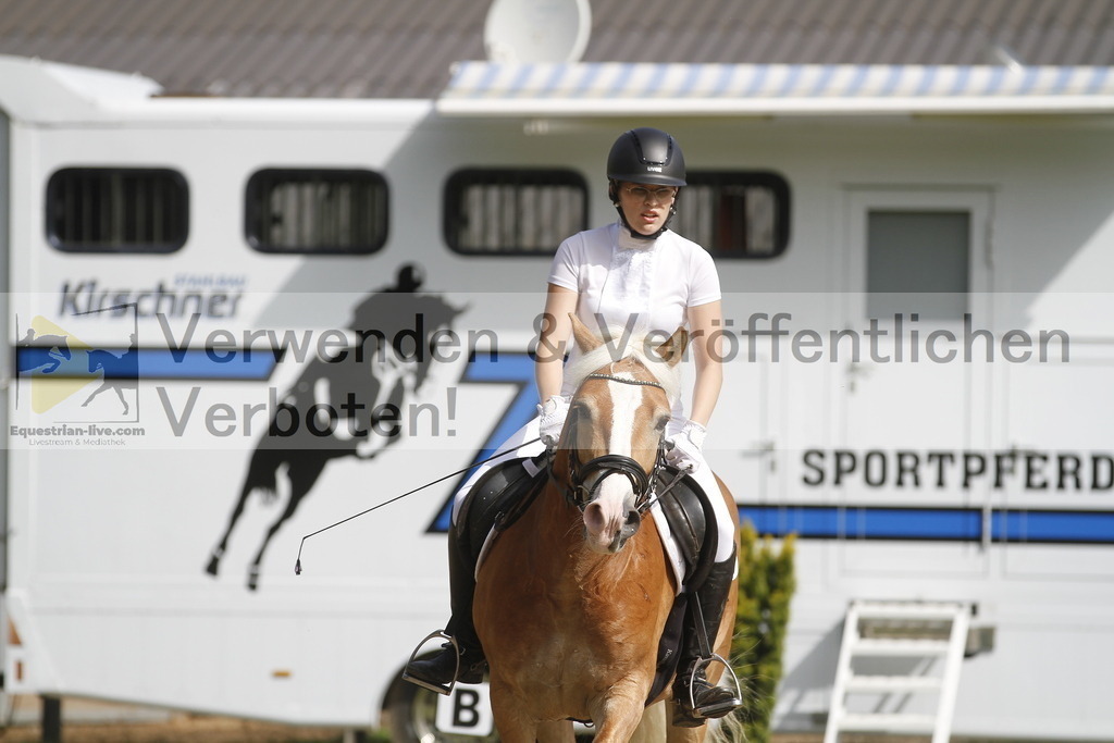 _MG_0394 | equestrian-live-com