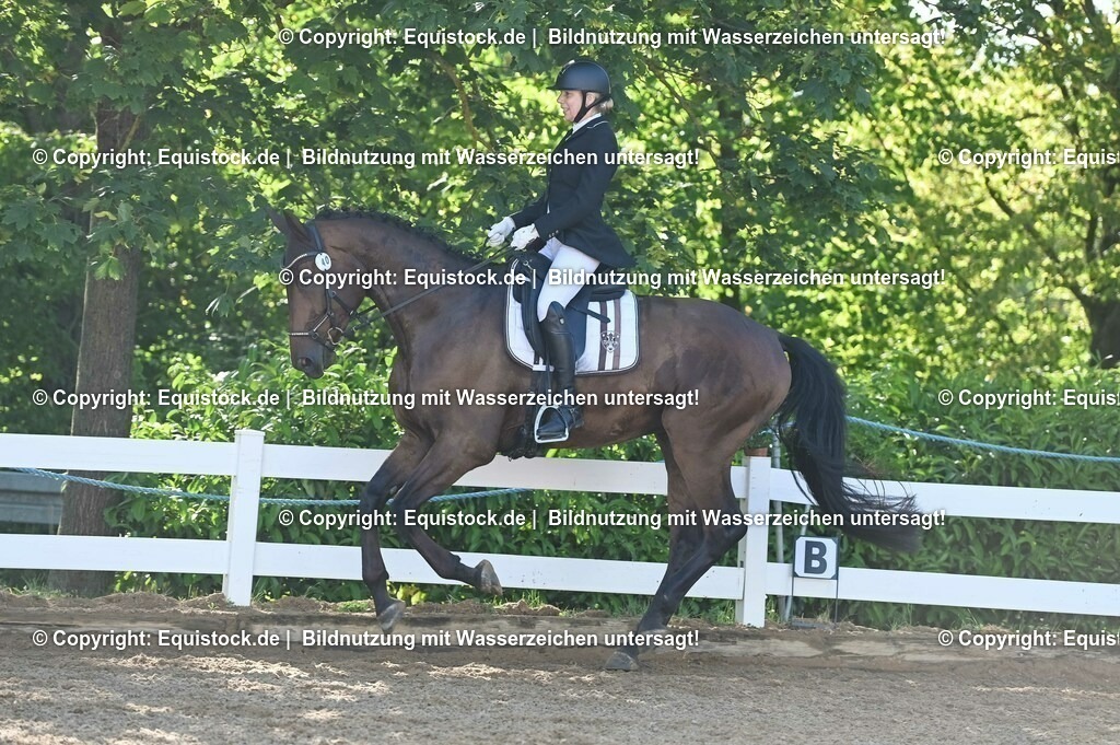 20230715_06_Dressurpferdeprfg. Kl.A_0049 | equistock