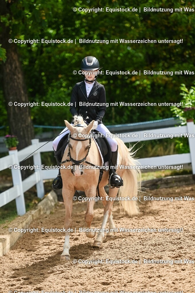 20230716_10-3_Reiter-WB Schritt - Trab - Galopp_0116 | equistock