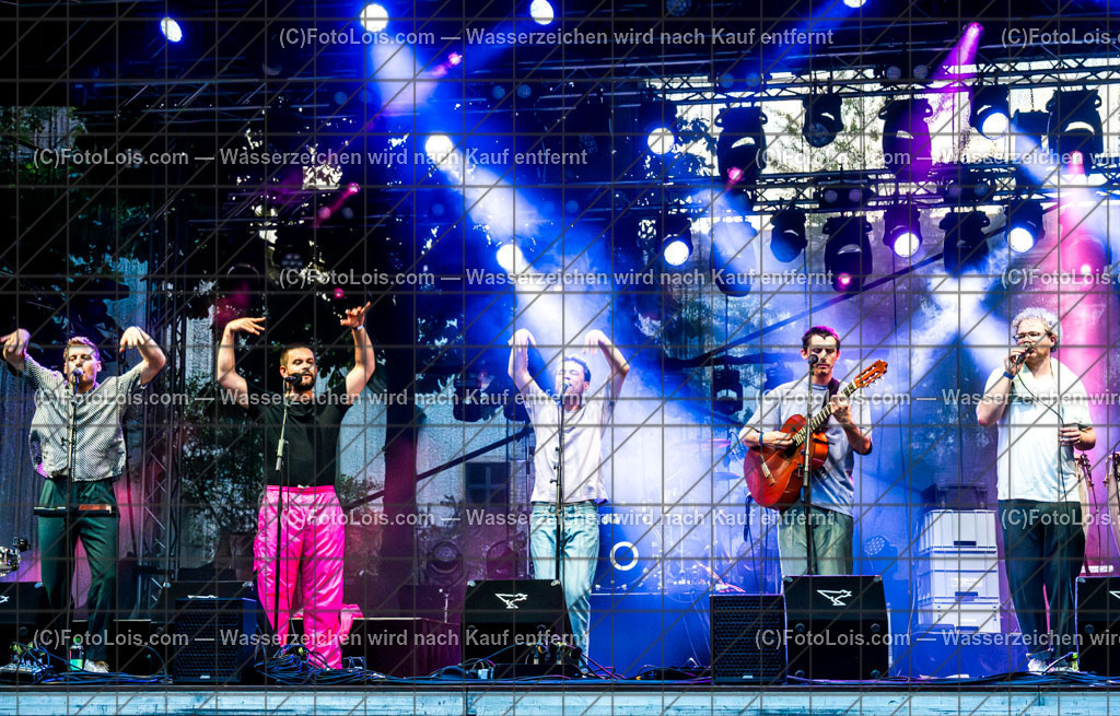 ALP9316_Hiesige-Dosige_Kulturpark | Festival HIESIGE 6 DOSIGE am 8. August 2025