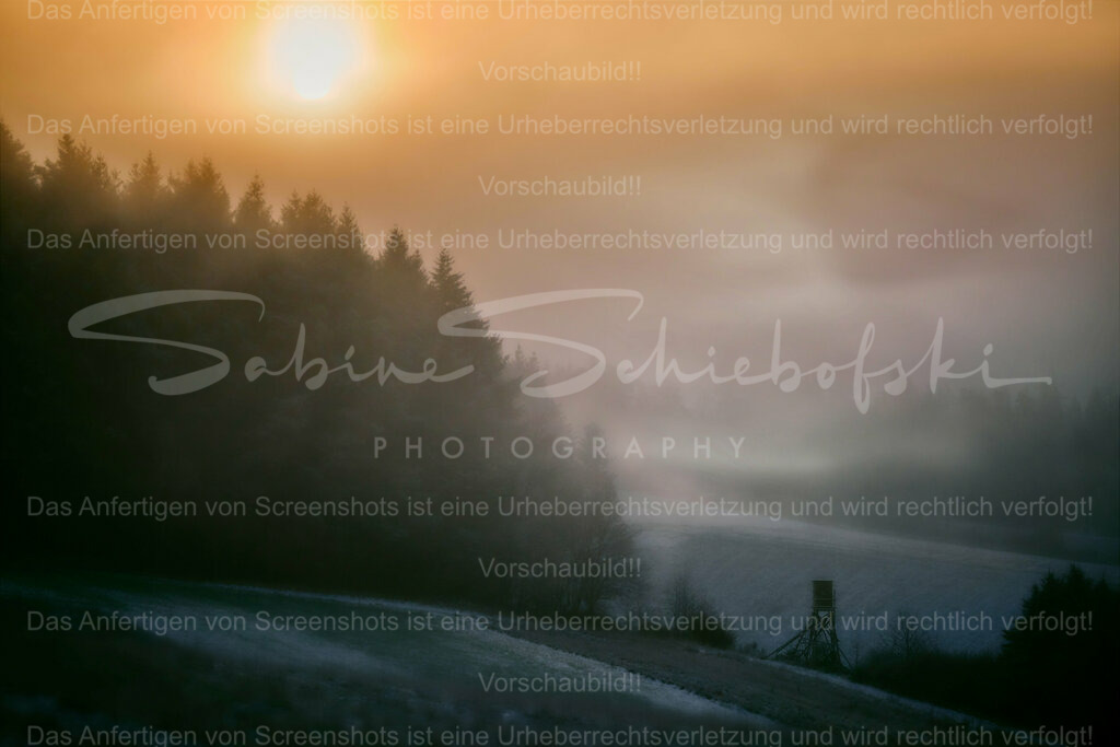 Wandbild "Ein Eifelmorgen" | People- und Tierfotografie, Imageaufnahmen, Veranstaltungsfotografie und Wandbilder aus der Natur ★ Made in Germany ✔️ Druck + Downloads ✔️ Naturfotografie in Top Qualität ★ schneller Versand, weltweite Lieferung! - Realisiert mit Pictrs.com