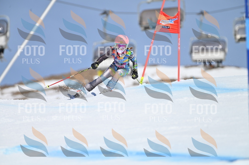 BGV_0389 | holidayphoto