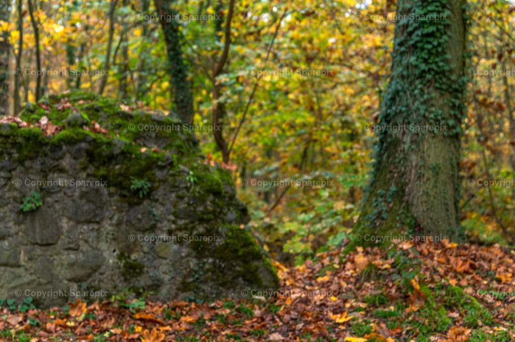 CRO_Autumn_Forest40_Bokeh | sparepix - Realisiert mit Pictrs.com