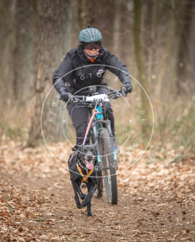 Pfotenfotografie_DV3A6046 | Hundefotografie, Tierfotograf, Pfotenfotografie, Fotoshooting Hund, Hunde Portrait, Hundesport, Hundeportraits, Heideshooting, Hunde, Sportfotograf, Hundefotograf, Turnierhundsport, THS,  - Realisiert mit Pictrs.com