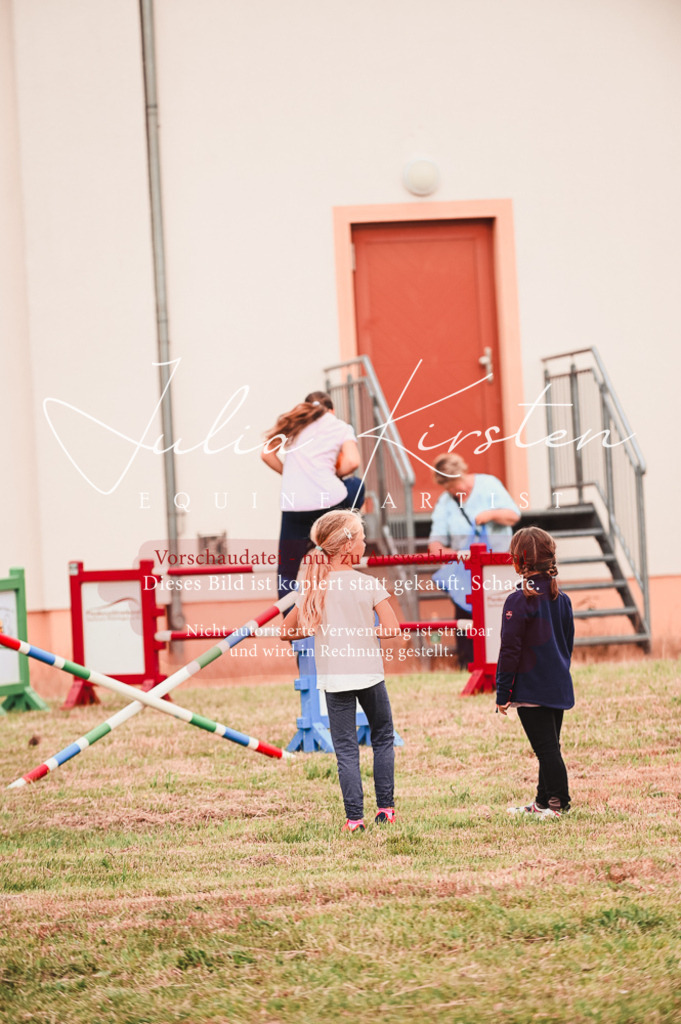 DSC_5276 | Pferde- und Turnierfotografie in Westsachsen. Pferdeportraits, Auftragszeichnungen und intuitive Kunst.