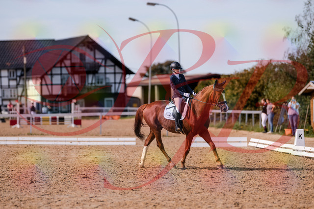 2026_10_03_Siefer-Hof_133157_Z81_87560897 | Professionelle Reitsport-, Turnier- und Eventfotografie von Robert Broda. Galerien mit ausgewählten und bearbeiteten Bildern direkt online ansehen und bestellen.