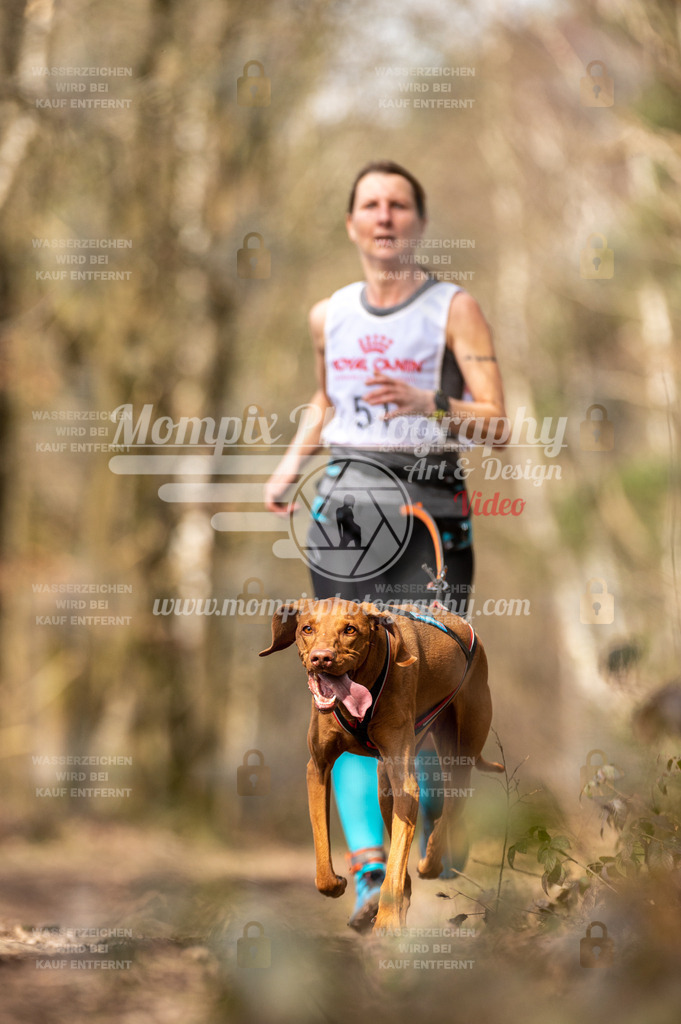 SPA_2023_SAM_CCL-91 | PayLife